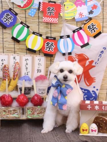 20240727うみちゃん